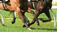 Female stablehand dies after freak accident with horse