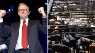 Australia lifts ban on US beef