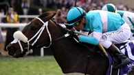 ‘World-class mare’ suddenly retired days before Caulfield Cup