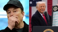 Musk calls Trump’s top tariff adviser a ‘moron’ and ‘dumber than a sack of bricks’