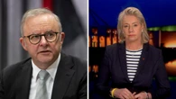 Politician slams Albanese’s ‘casual approach’ and anti-Trump rhetoric
