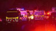 Baby among three children dead in Sydney house fire, man in custody