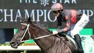 Big question facing Chris Waller’s Qld Derby hope Belle Detelle
