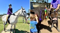 Wild dog attacks kill five therapy horses