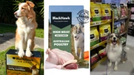 Black Hawk pet food launches ‘delicious’ new range for dogs