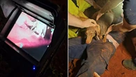 Family pet’s dramatic outback rescue