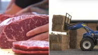 Soaring farm costs spark meat price hike warning