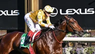 All eyes on ‘alpha male’ after outclassing star field in Turnbull