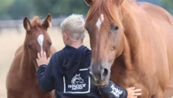 Tributes flow after racing royalty lose son in shattering tragedy