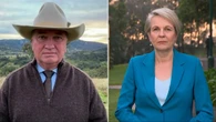 Joyce slams Australian defence amid claims China attack ‘imminent’