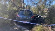 Coles employee CARJACKED at knifepoint by teenage girl - who smashed the Mazda into a pole