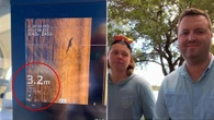 Investigations underway after croc spotted in tourist hot spot