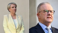 Albanese unveils sweeping cabinet shake-up as Plibersek demoted and new faces rise