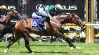 ‘Promising stayer’ scores Cup Day win at staggering odds