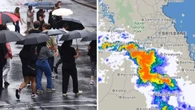 ‘Glaring issue’: Calls for new weather website to be re-examined after storms