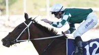 Topweights revealed for Caulfield and Melbourne Cup