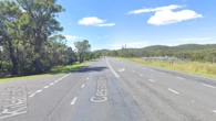 Man, 98, killed after being struck by ute