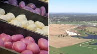 Fears for Australia’s food security as growing farmland threat emerges