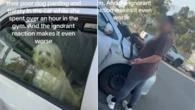 Fury as dog owner leaves puppy panting in car on sweltering day