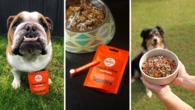 ‘Amazing’ vet-approved products preventing common issues thousands of dogs face