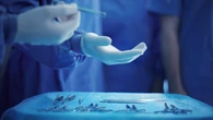 Woman’s massive payout after ‘radical’ and ‘unnecessary’ surgery removes clitoris
