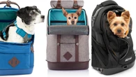 Pets will soon be allowed on Virgin Australia flights. Here are the approved carriers you need in your life