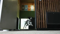 Hotel for pampered pets takes off at Italian airport
