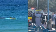 ‘All the right things’: Hero lifeguard reveals terrifying shark attack detail