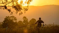 Why summer is undergoing a ‘total transformation’