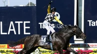 Racing icon joins Channel 7 stable for event like ‘no other’