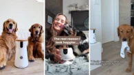 Shoppers swear by this pet camera for keeping an eye on their furry friends: ‘It’s brilliant’