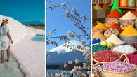 Award-winning travel tour company offering up to $4000 off your next international trip