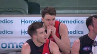 Essendon lose ‘best player’ as absurd injury crisis deepens