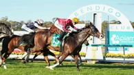 El Soleado facing rare task in comeback from throat surgery