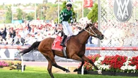 Cox Plate undergoes massive change after Moonee Valley shutdown