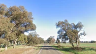 Woman dies after car veers off road and slams into tree