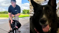 When he adopted the German Shepherd, it wasn’t the first time they had crossed paths.