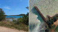 Friends’ incredible act as teen attacked by shark