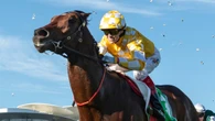 Gai Waterhouse makes call on axed Melbourne Cup favourite