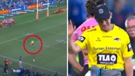 NRL decision looms as apologetic Panthers coach takes blame