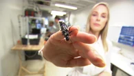 Beetles with backpacks: the future of disaster rescue is crawling closer