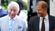 King Charles III and Prince Harry reunite after years of estrangement