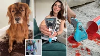 Amazon Australia slashes Shark StainStriker Hairpro to under $300 in rare deal