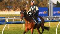 Old rivals renew hostilities in blockbuster Caulfield Cup