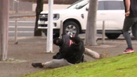 Drama at Collingwood as wannabe thief gets busted