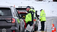 NSW police issue more than 1500 traffic infringements to snow bunnies