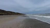Two-metre rare oarfish washes up on Australian coastline