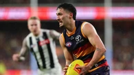 Adelaide rocked as livewire forward under AFL investigation