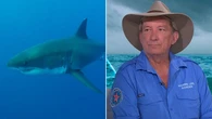 Common ocean activities experts warn could be attracting sharks