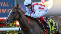 Everest champion embarks on new-look spring campaign
